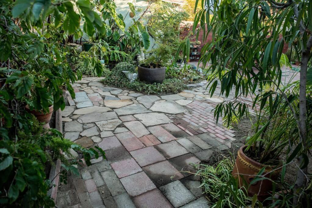 Noho Escape Holiday home *